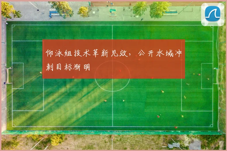 仰泳组技术革新见效，公开水域冲刺目标渐明