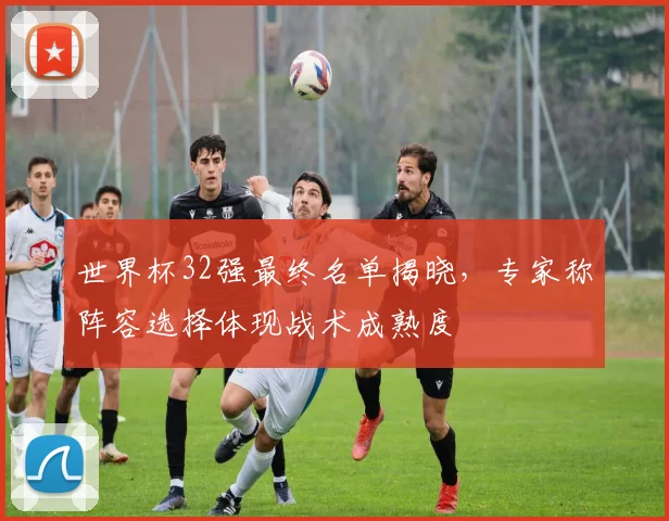 世界杯32强最终名单揭晓，专家称阵容选择体现战术成熟度