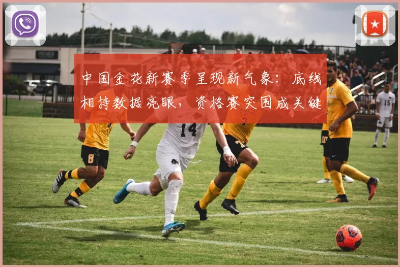 中国金花新赛季呈现新气象：底线相持数据亮眼，资格赛突围成关键课题