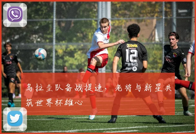 乌拉圭队备战提速，老将与新星共筑世界杯雄心