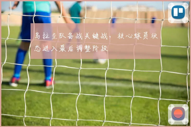 乌拉圭队备战关键战，核心球员状态进入最后调整阶段