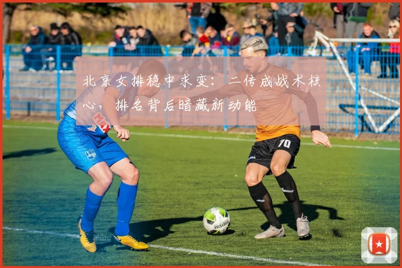 北京女排稳中求变：二传成战术核心，排名背后暗藏新动能