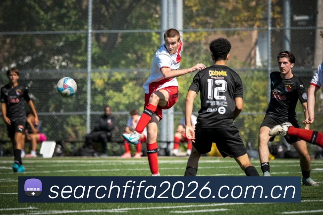 2026世界杯 多终端观赛